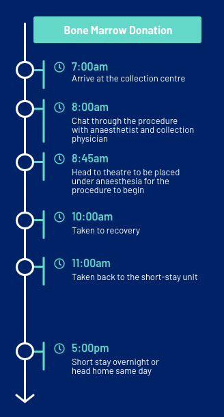 Bone marrow donation steps