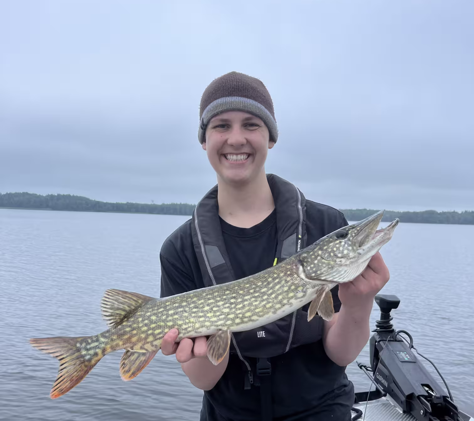 Pike Fish in Sweden