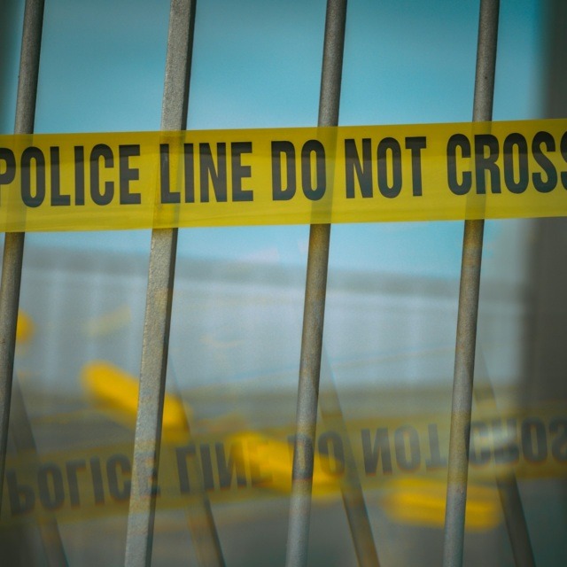 daniel-von-appen-WW-4bspunFY-unsplash